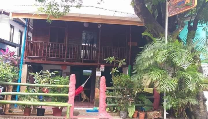 Downtown Montezuma Hostel エクステリア 写真