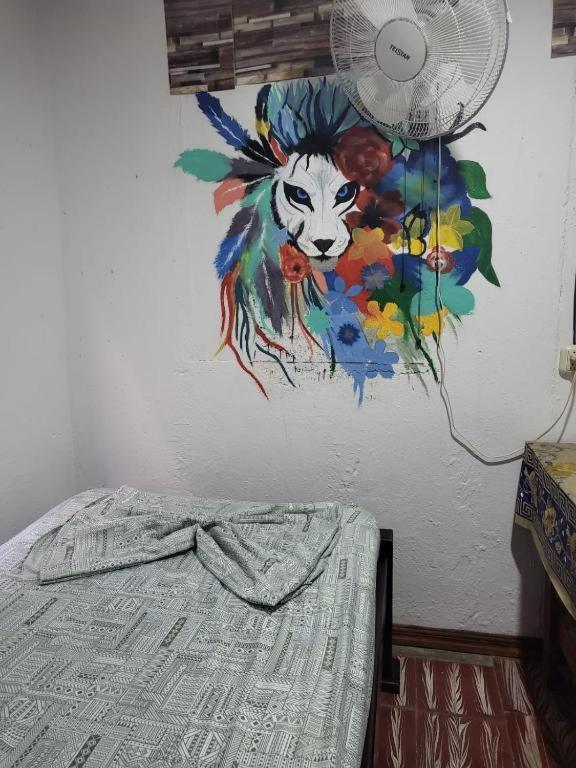 Downtown Montezuma Hostel エクステリア 写真